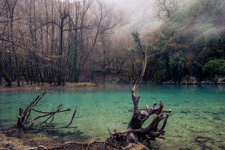 a dead tree stump stands by a crytal clear lake in zagorohoria greeceの写真素材