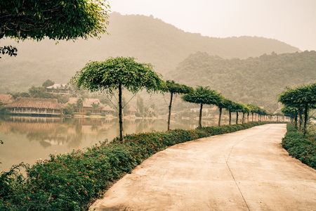 ornate trees line this road in vietnam