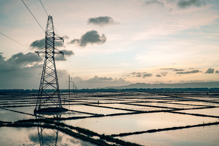 power lines along rice paddys in vietnamの写真素材