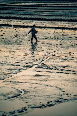 a farmer walks across his field in vietnamの写真素材