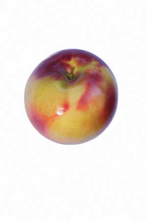 McIntosh apple (Malus domestica McIntosh). Image of single apple isolated on white backgroundの写真素材