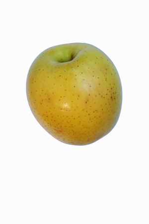 Ginger gold apple (Malus domestica Ginger Gold). Hybrid between Golden Delciuos apple and Albemarle (Newtown) Pippin apple. Image of single apple isolated on white backgroundの写真素材