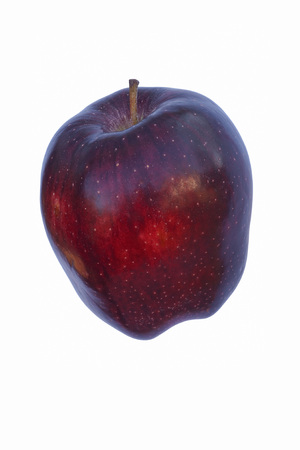 Red delicious apple (Malus domestica Red Delicious). Image of single apple isolated on white backgroundの写真素材
