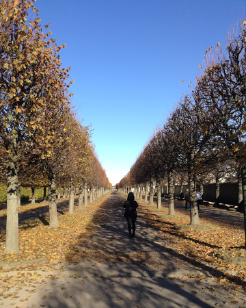 Spring Garden before to entrance in Peterhof, Saint-Petersburg, Russiaのeditorial素材