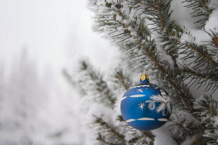 Closeup of evergreen branch with christmas decoration. With copy-spaceの写真素材