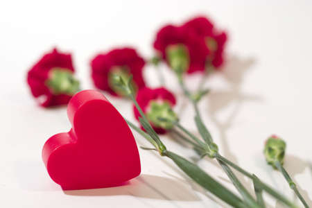 Red plastic heart with carnation. Focus is on the heart, flowers are out of focusの写真素材