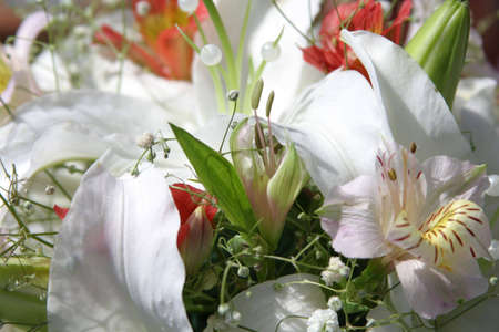 bunch of white and red lilies. Closeup