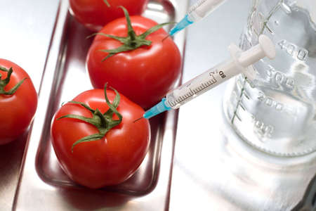 injection of some substance into fresh red tomatoes