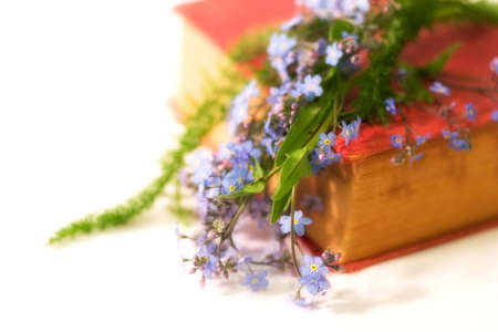 antique book with some flowers (forget-me-not), soft focused, very small dept of field, focal point is on flowers, with copy spaceの写真素材