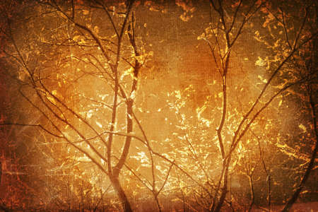 grunge background (paper or canvas) with some floral elements, made from my own photosの写真素材