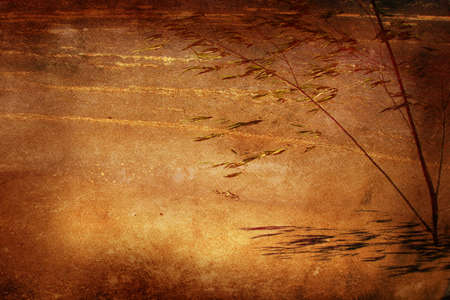 grunge background (paper or canvas) with some floral elements, made from my own photosの写真素材