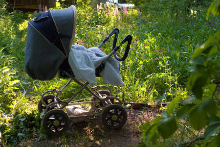  carriage in the garden in the rays of sun