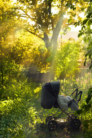  carriage in the garden in the rays of sunの写真素材