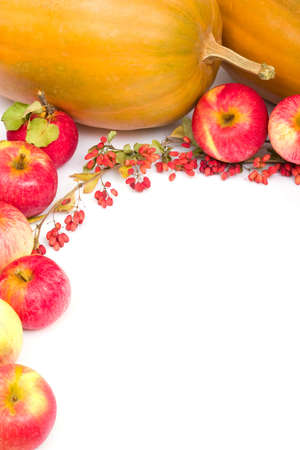 Colorful still-life of fresh autumn harvest. On white backgroundの写真素材