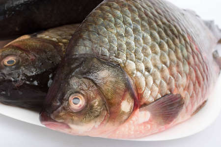 Fresh raw fish close-up. の写真素材