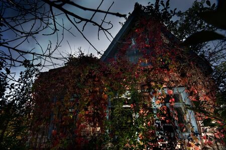 Image of Haunted house - good background for  cardsの写真素材