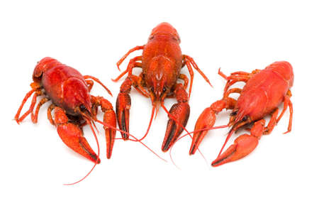 Crawfishes. Image series of different food on white background の写真素材