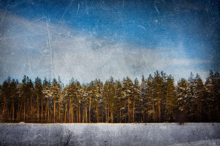 grunge background (paper or canvas) with landscape, made from my own photosの写真素材