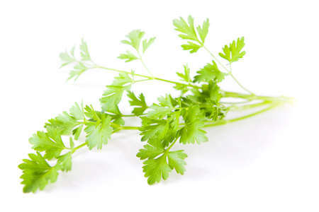 Parsley on white background, low DOF