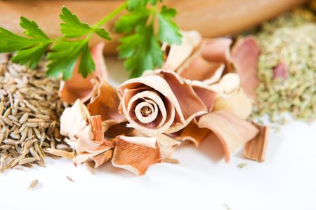 Lemon grass, low DOD, close-up, focus on lemon grassの写真素材