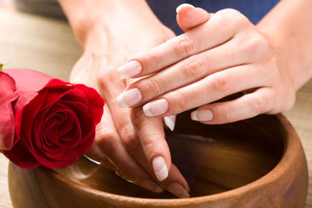 Beautiful fingers with French manicure and red roseの写真素材