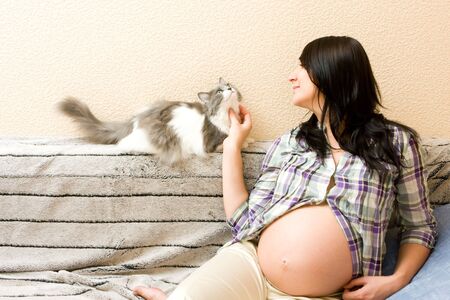 Young beautiful pregnant woman playing with her catの写真素材