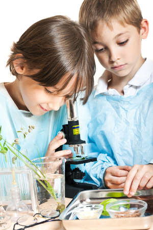 Two little boys doing biochemistry research at the lab. Isolated on whiteの写真素材