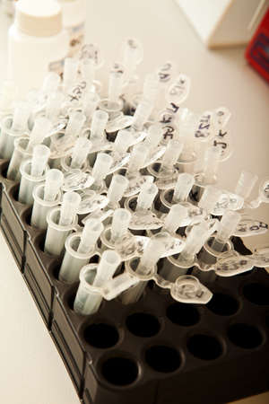 Laboratory of DNA research