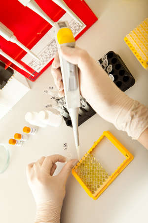 Laboratory of DNA researchの写真素材