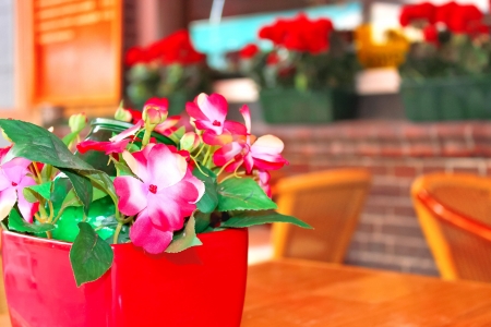Flowers on the table in a cafeの写真素材