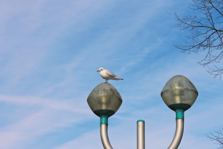 Seagull on a lamppost on sky backgroundの写真素材