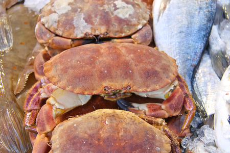 Sales of fresh crabs on the marketの写真素材