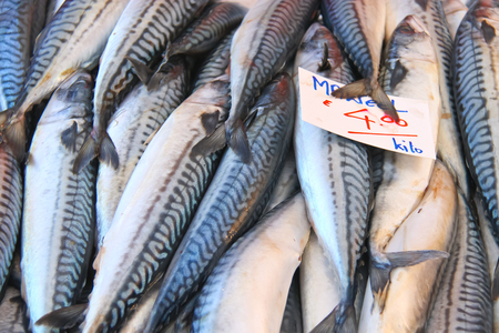 Sales of fresh mackerel on the market