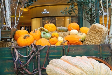 LAS VEGAS, NEVADA, USA - OCTOBER 21, 2013 : Autumn theme in a greenhouse at Bellagio Hotel in Las Vegas, Bellagio Hotel and Casino opened in 1998. This luxury hotel  owned by MGM Resorts Internationalのeditorial素材