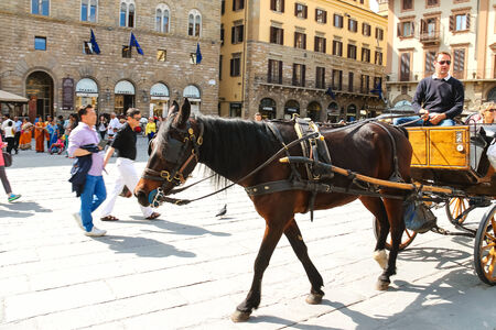 FLORENCE, ITALY - MAY 08, 2014: Tourists ride on a carriage pulled by a horse in Florence, Italy のeditorial素材