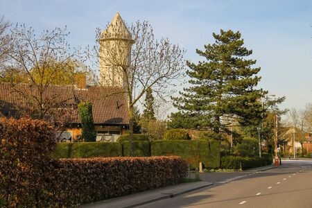 Street in a residential area of Meerkerk, Netherlandsのeditorial素材