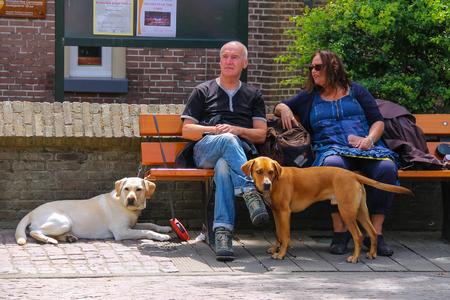 Zandvoort, the Netherlands- June 20, 2015: Man and woman resting on the bench with their dogs. Zandvoort aan Zee is a major sea resort and tourist center of North seaのeditorial素材