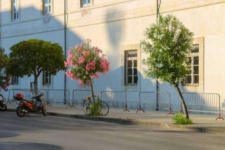 Parked bicycle and motorbike on the street in Viareggio, Italyの写真素材