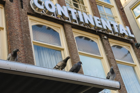 Amsterdam, the Netherlands - October 03, 2015: Pigeons sitting on the roof of Hotel Continentall in historic part of Amsterdamのeditorial素材
