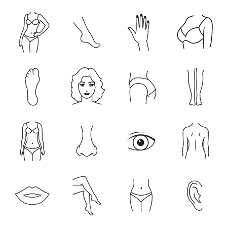 Human body parts icons. Outline icons on a white backgroundのイラスト素材