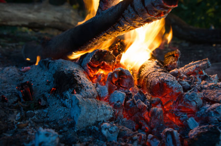 campfire coals background from the burning charcoal
