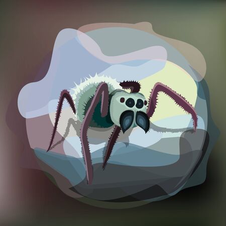 Green and red spider with small williesのイラスト素材