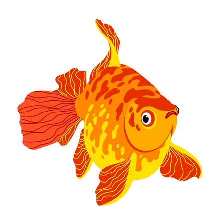 red decorative aquarium spotted golden fish, chinese crucian or carp, symbol of good luck & wealth, color vector illustration isolated on white background in cartoon, flat & hand drawn styleのイラスト素材