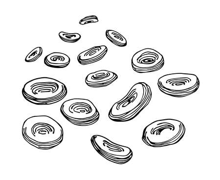 set of a red blood cells, erythrocytes, microscopic bodies, vector illustration with black ink lines isolated on a white background in a hand drawn & doodle styleのイラスト素材