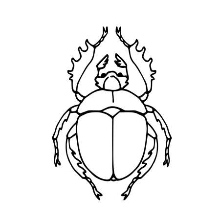 dung beetle, scarabaeus, ancient egypt sacred symbol, vector illustration with black ink contour lines isolated on a white background in a cartoon and hand drawn styleのイラスト素材