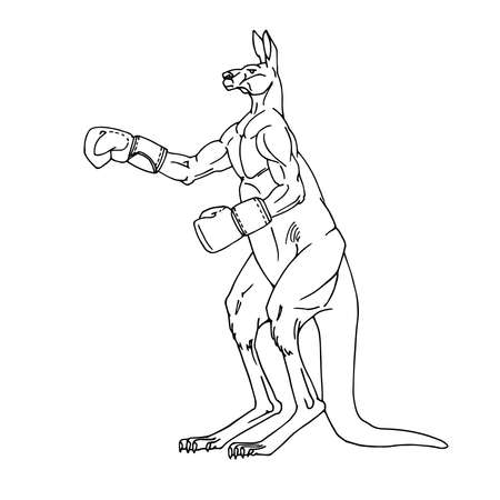 A sporty male kangaroo in boxing gloves. The Australian symbol. Vector illustration with contour lines in black ink isolated on a white background in cartoon and hand-drawn style.のイラスト素材