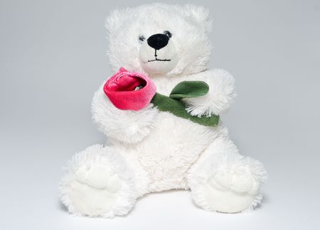 white toy bear holding red roseの写真素材