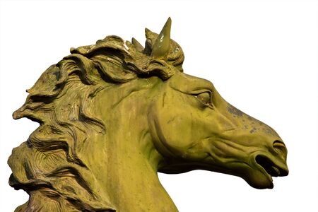 bronze statue of horse isolated on whiteの写真素材