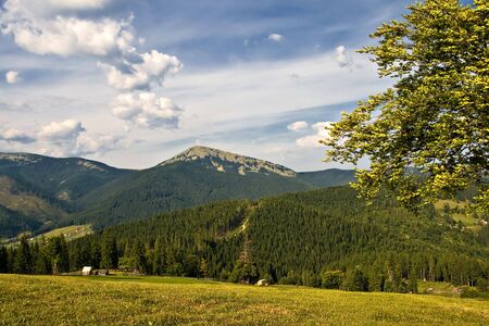 countryside panorama. Natural backgroundの写真素材