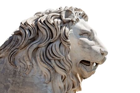 Head of a Lion sculpture isolated on whiteの写真素材